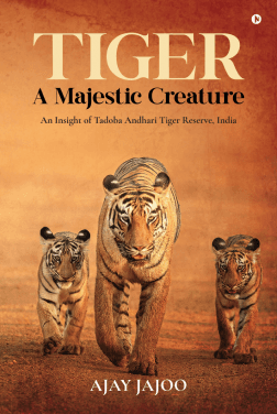 Tiger : A Majestic Creature